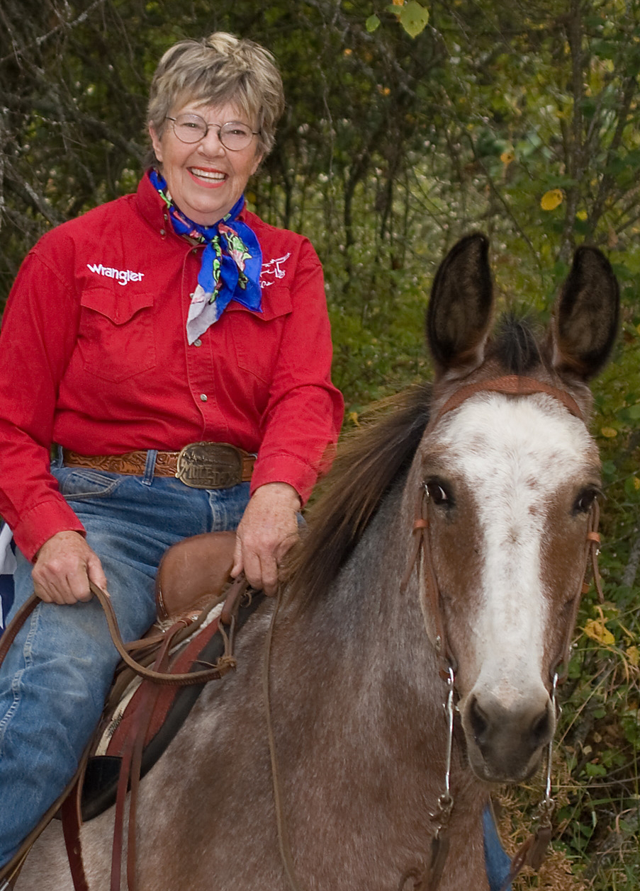 Bonnie Shields, the Tennessee Mule Artist