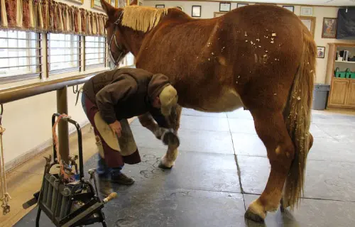 12-27-11 - FARRIER_1