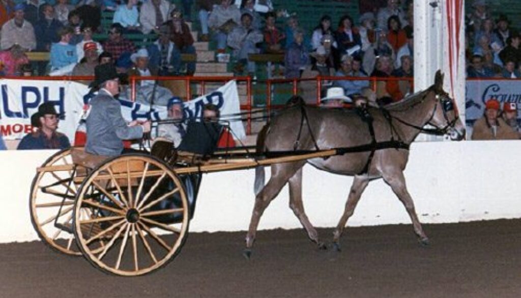 ColoradoHeartFund1990-3