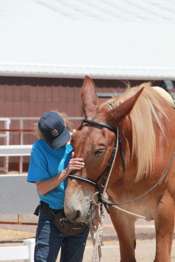 THE MULES MY MOM AND I BOTH LOVE