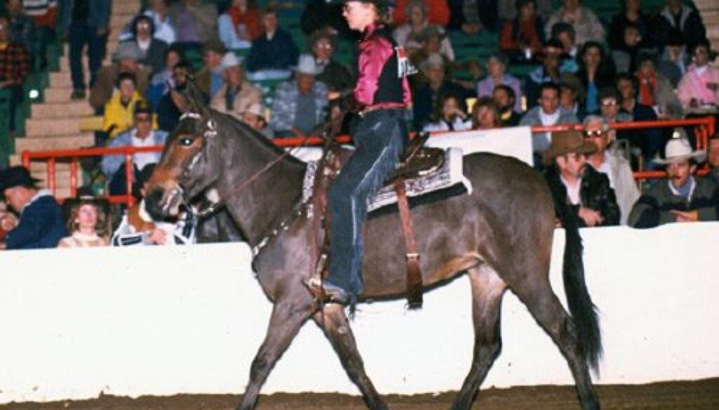 NationalWesternStock1986-2