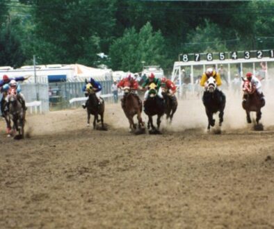 Racing-Mules-19840002_CC