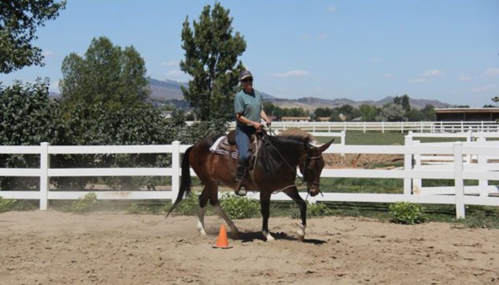 MULE CROSSING: Learning to Ride a Balanced Seat – Mule, Donkey & Horse ...