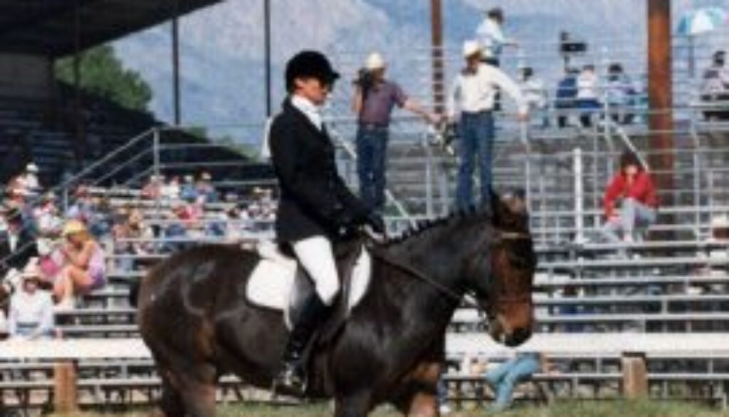 USDF1987-3