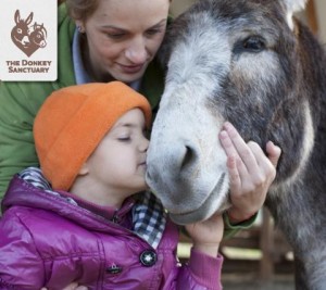 donkeytherapyromania